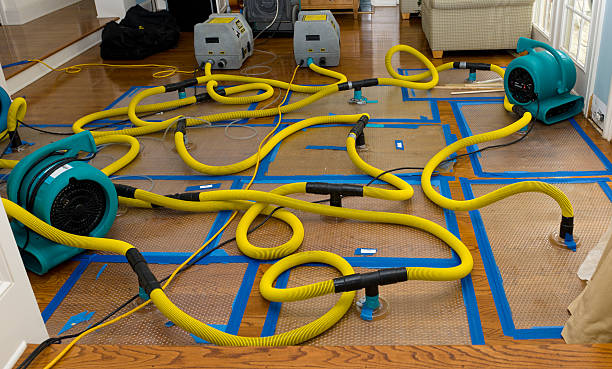 Professional Water Extraction technician working in Little Silver, NJ